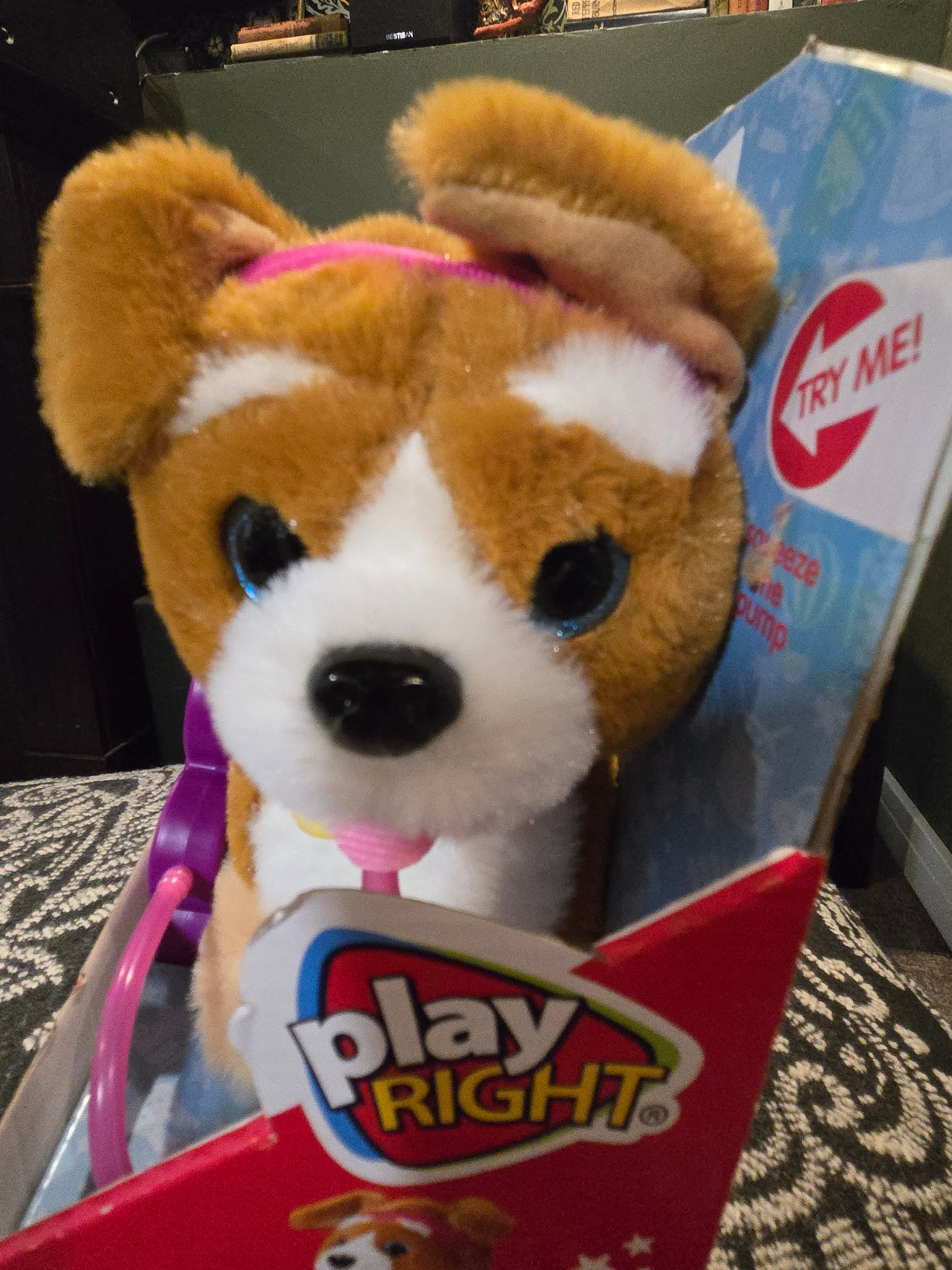 Play Right Puppy